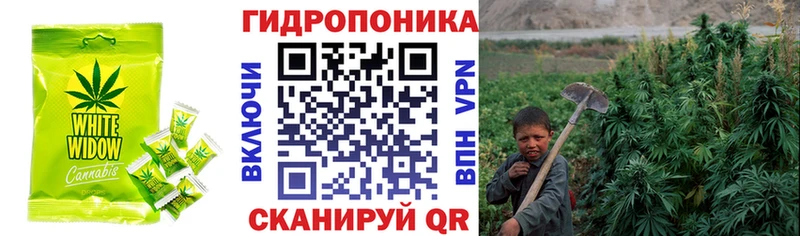 Печенье с ТГК конопля  hydra ссылка  Северо-Курильск 
