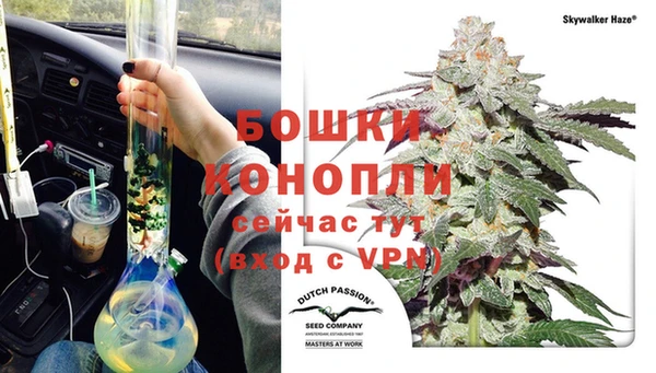 сатива Балабаново