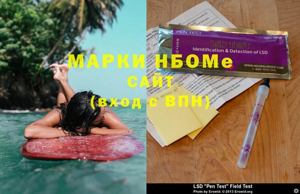 индика Каменка